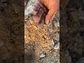 Rare Old Silver Bugle Found With Metal Detector #shorts #shortvideo #shortsfeed #youtubeshorts
