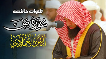 (وَوَصَّيْنَا الْإِنْسَانَ بِوَالِدَيْهِ إِحْسَانًا) تلاوة خاشعة بصوت الشيخ أنس العمادي