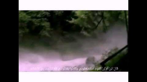 تلاوة لــ: حامد وردك✨