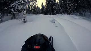 Climbing Old Logging Road On The 600r