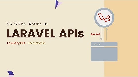 Resolving CORS Issue in Laravel API Development | TechsofTechs