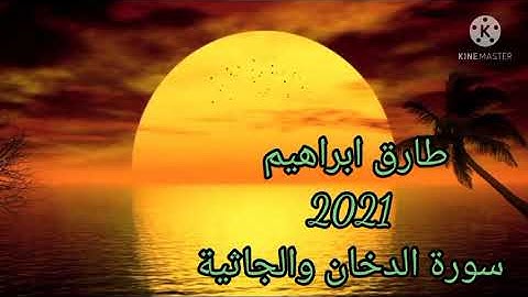 طارق ابراهيم 1442/2021 سورة الدخان والجاثية
