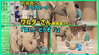 ワルダーさん大解説!トーク中に飼育員さんに「はい、どうぞ！」【東山動物園アニマルトーク】#ゾウ #ワルダー #動物園