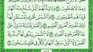 سورة يس كامله بصوت معتز اقائي