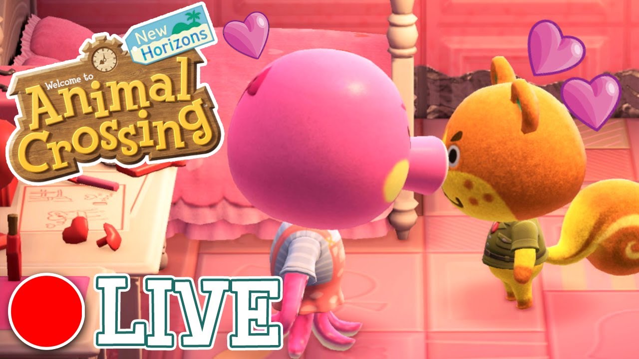 🔴 🎶Now KISS The Girl~ 🎶 A New Crush Appears?! 💕 New Horizons: Wildberry