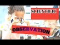 The Scientific Method: Steps to Effective Inquiry and Observation