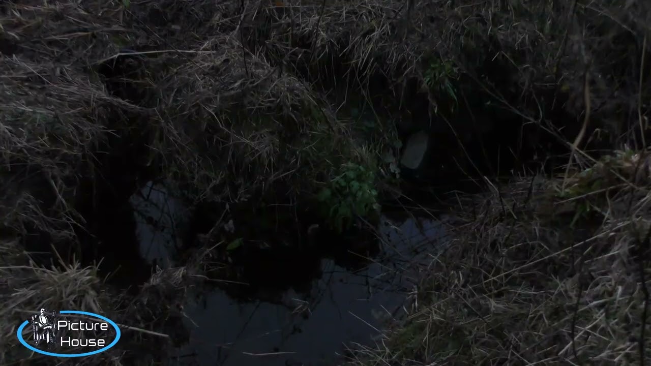 Winter on Thurso River 23rd Nov 25