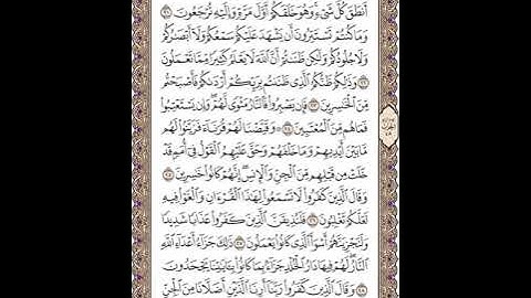 سورة فصلت  - تلاوة خاشعة - محمد رشاد الشريف