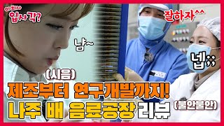 하루에 무려 1만 킬로의 배 사용!🍐😱나주 배 어디 갔나 했더니 다 여기 있었네 [이 회사, 입사 각?]