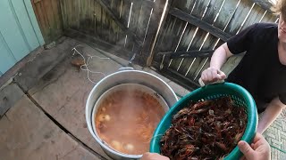 Louisiana Crawfish Boil Season Tradition!!