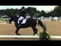 Extasia British Dressage Home International E59 1st Place