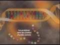 Les effets des rayonnements sur la santé