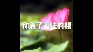 201511 你着了善法的相21191