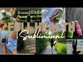 FULL BODY REPAIR &amp; HEALING SUBLIMINAL [cleanse &amp; detox]