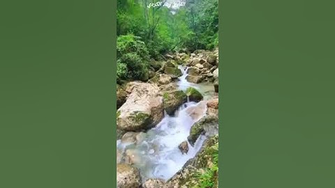 سورة يوسف مقطع (٢)#explore #ترند #دويتو #اكسبلور #اكسبلورر #تيك_توك #يارب #explore