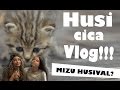 HUSI CICA VLOG - Mizu Husival? :D