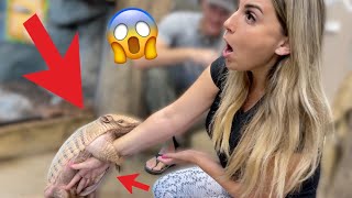 I Got Attacked By An Armadillo!!!!