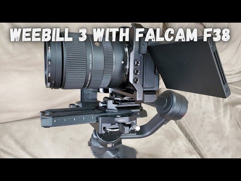 Weebill 3 using