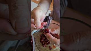 Famous Pit cherry with a safety pin #pitcherry #cherry #hack #trick #cherryjam #redcherry Profile