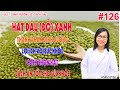 #126. Hạt đậu (đỗ) xanh - lợi ích sức khỏe và cách chế biến đúng cách