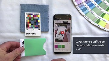 Pantone Color Match Card em Português - Coraparencia