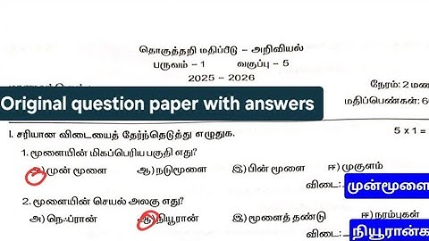 5thstd science summative exam question paper with answers term_1 2025_2026 @EE AND GRAMMAR 