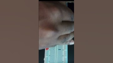 Parallel circuit   #led #electroniccircuits #diyprojects