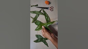 leaves toran/diwali decoration ideas at home | Diwali decor with mango leaves #shorts #craft #diwali