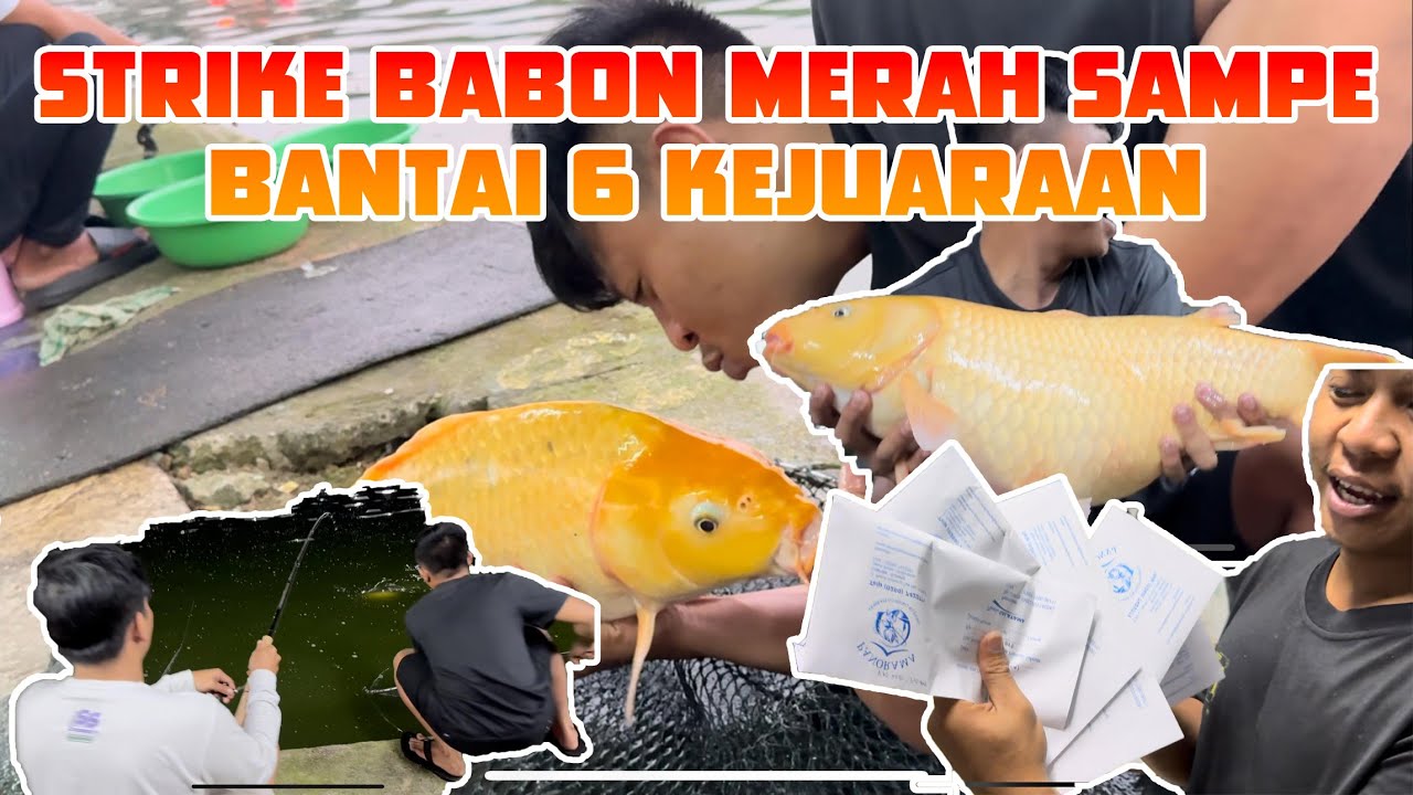 BIKIN GEHGER ESEN SLEBEW BANTAI 6 NOMINASI DI PEMACINGAN LEMBAH GUNUNG KUJANG