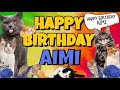 Happy Birthday Aimi! Crazy Cats Say Happy Birthday Aimi (Very Funny)