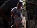 Just for a bit of a mid week laugh 🦅 🎥: #goldcoasttradies #funny #goldcoastrenovations #renos
