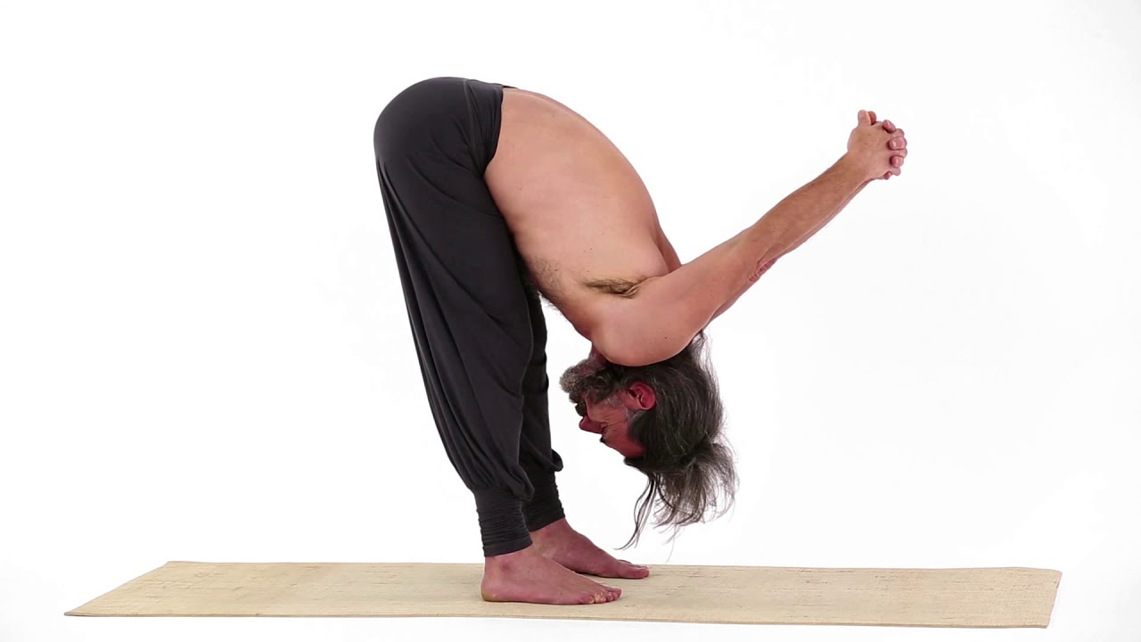 Eléphant bras en arrière - Gaja Asana video phone beyonce mp3