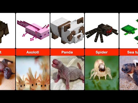 Minecraft New Born