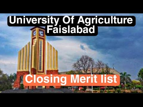 Closing Merit list 2020(Morning) | BS Programs | UAF (Main+Sub campuses)