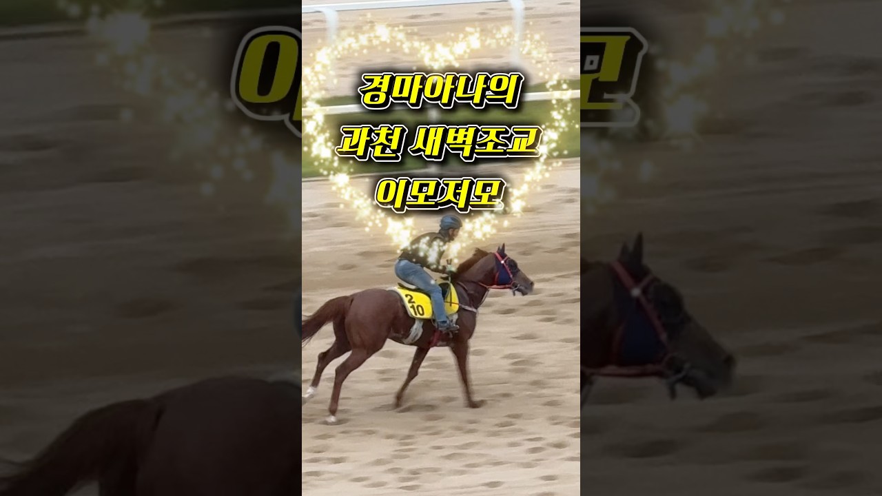 과천 신장개업 마방!! 첫 훈련 모습은???👀