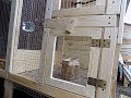 jak zrobić drzwiczki do woliery, klatki dla kanarków,how to make an aviary door,cages for canaries,