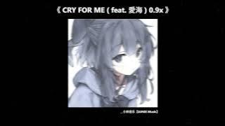 Cry For Me 愛海 【x0.9】