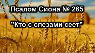 Псалом Сиона № 265 минус КТО С СЛЕЗАМИ СЕЕТ, РАДОСТЬ ПОЖИНАЕТ