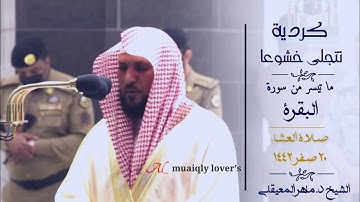 تلاوة كردية تتجلى خشوعا لما تيسر من سورة البقرة صلاة العشاء 20 صفر  1442 الشيخ ماهر المعيقلي