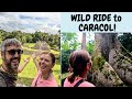 Climbing Belize’s TALLEST Building–visiting caves, pools, and Caracol’s EPIC ruins!