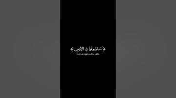 اكتب شيء تؤجر عليه 😊💖 القرآن الكريم شاشة سوداء