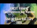 San francisco bay monster uncut of monster  storyteller media