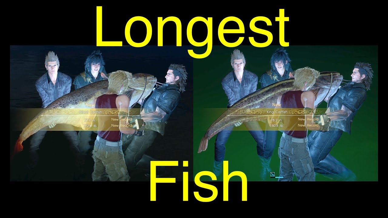 Final Fantasy XV Longest Fish (King Catfish and Giant Catfish) FFXV