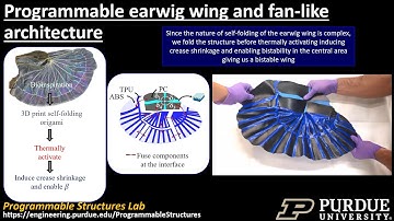 Multistable Bioinspired Origami with Reprogrammable Self-Folding
