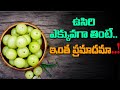 Is Eating Too Much Amla Dangerous?