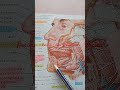 #medicalstudent #medicina #medicaleducation #medicine