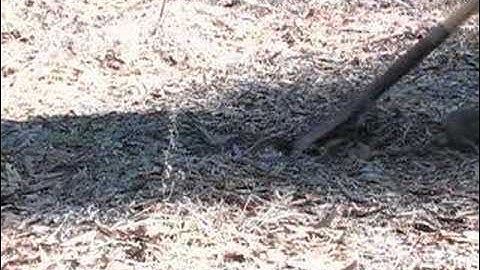 how to collect a soil sample for analysis