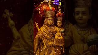 Velankanni mathavae#love #divine #shortvideo