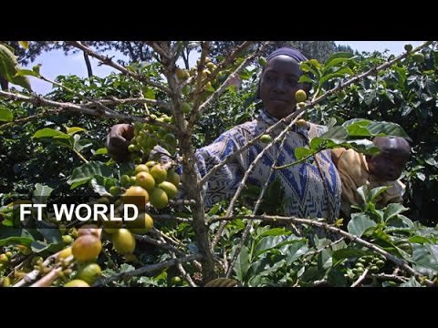 Kenya’s thirst for coffee | FT World