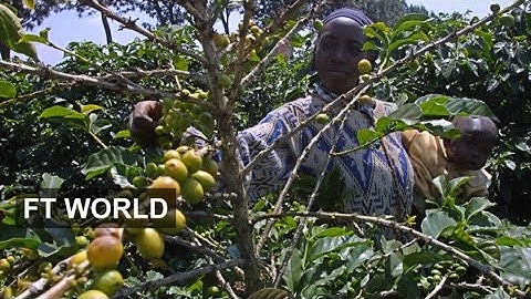 Kenya’s thirst for coffee | FT World